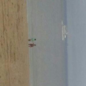 Meet your Posher, Joy